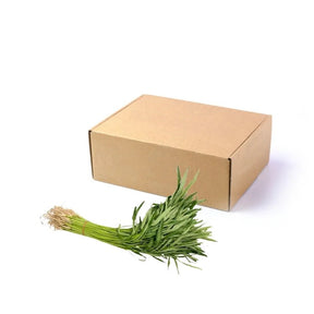 Chinese morning glory bundle on a white background