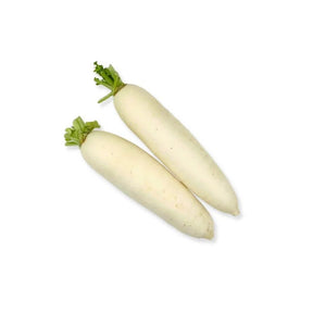 Chinese radish on a white background