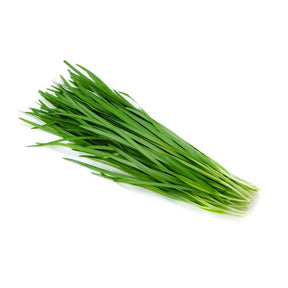 Chinese chive leaves on a white background