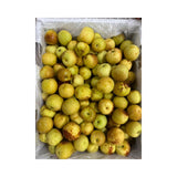Chinese Jujube Cartoon Box Size Jumbo