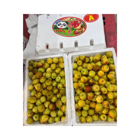 Chinese Jujube Panda Brand Size Jumbo (Net Weight 3kg/Box)