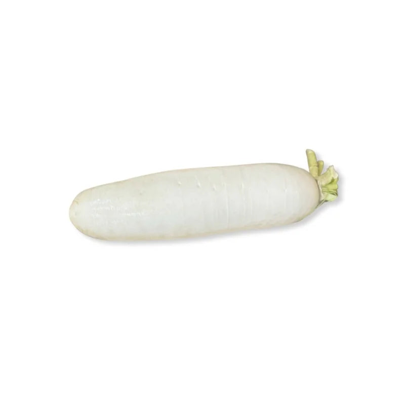 Chinese Radish (Large) 500-700g/Piece
