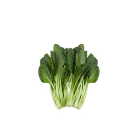 Fresh choy sum leaves, tender leafy greens sold per kg isolated on white background