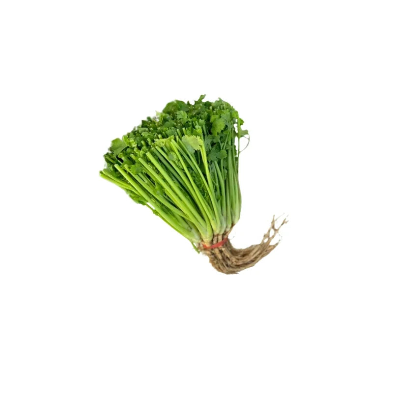 香菜根 250克