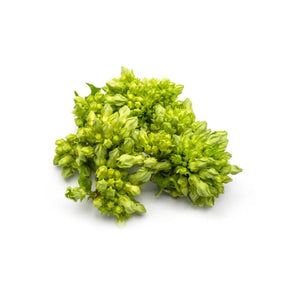 Fresh cowslip creeper leaves, tender climbing vegetable greens, 250g pack isolated on white background