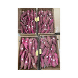 Crown Premium Japanese Sweet Potato Size M (5.2kg/Box)