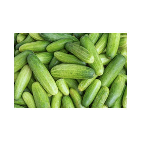 Fresh size M cucumbers, medium crisp green cucumbers sold per kg isolated on white background