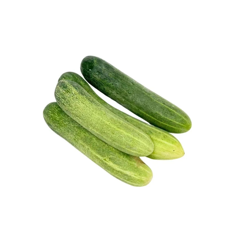 Cucumber (Dang Ran) Per kg