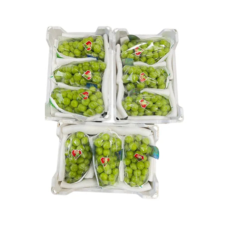 Diamond Brand Shine Muscat Grapes 3 Bunches (Total Weight Including Basket 4.8kg)