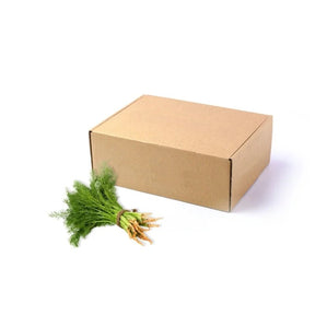 Fresh dill herb, feathery green leaves, 5kg bulk pack isolated on white background