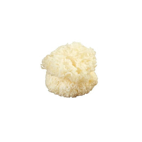 Dried white jelly mushrooms, crunchy dried fungus, 500g pack isolated on white background
