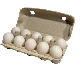 Pack of duck eggs size 0 on a white background
