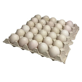 Tray of duck eggs size 0 on a white background