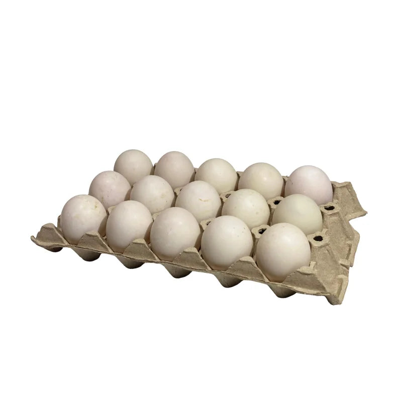 Duck Eggs Size 0 (15 Eggs/Pack)