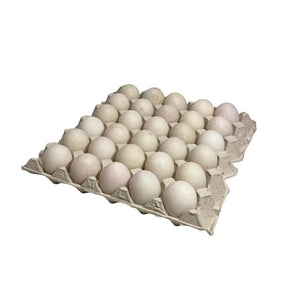 Duck eggs size 1 pack of 30 on a white background