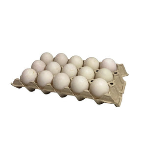 Duck eggs size 3 pack of 15 on a white background