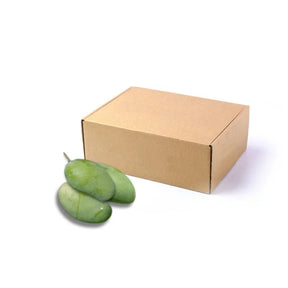 Fresh Mun Duean Kao mango unripe, crisp green mangoes, 5kg bulk pack isolated on white background