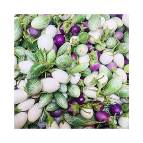 Fresh three-color eggplant, mixed Thai eggplant varieties, 10kg bulk pack isolated on white background