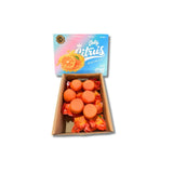 ส้มเอฮิเมะกล่องใหญ่ 4-4.5 กก./กล่อง