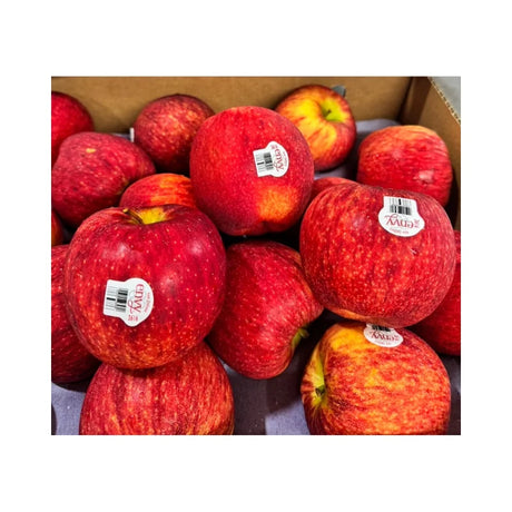 Envy Apples New Zealand 6 Pieces Per Pack