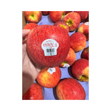 Envy Apple New Zealand Size 80 (18kg/Box)