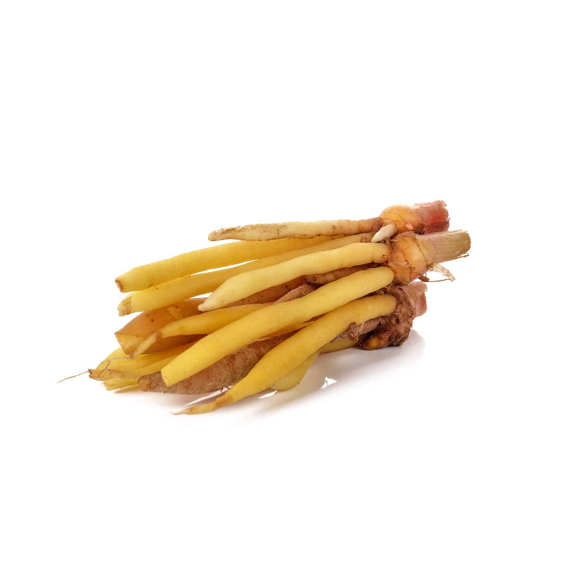 Fingerroot Rhizome Removed Per kg