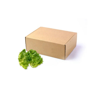 Fresh frillace iceberg lettuce, crisp green leaves, 3kg bulk pack isolated on white background