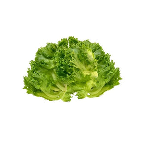 Fresh frillice iceberg lettuce on a white background