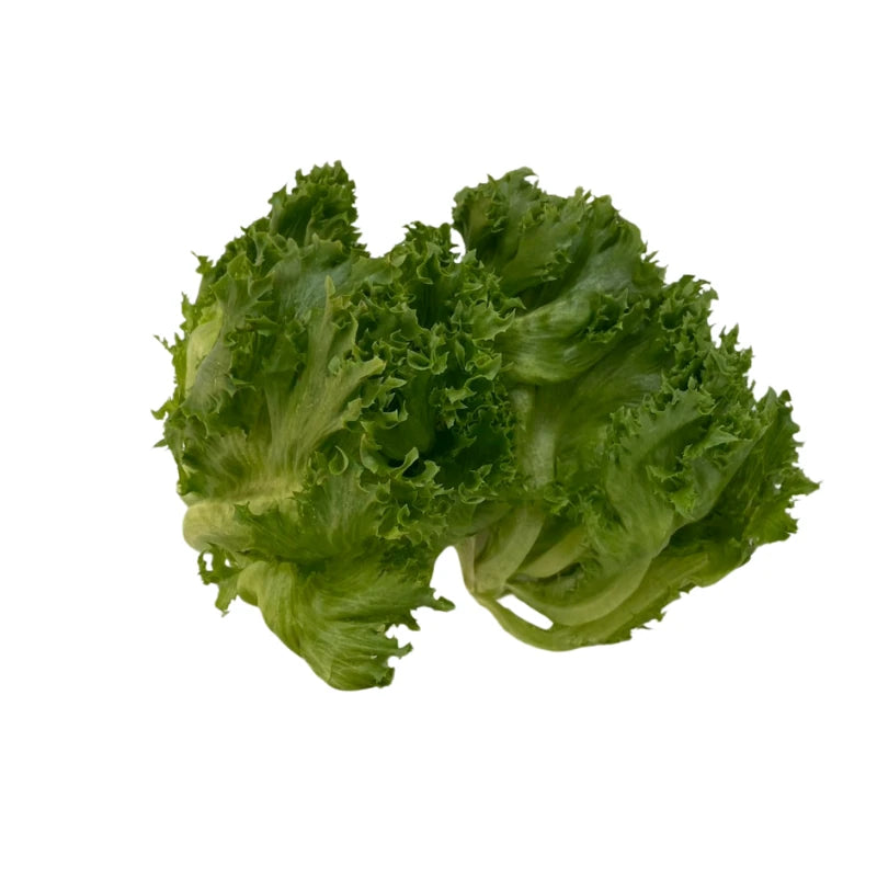 Frillice Iceberg Lettuce Per kg