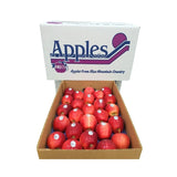 แอปเปิ้ลกาล่า อเมริกา ลังละ