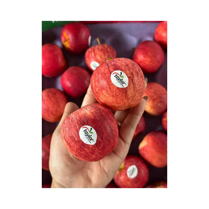 Gala Apple New Zealand Taylor Brand Size 150