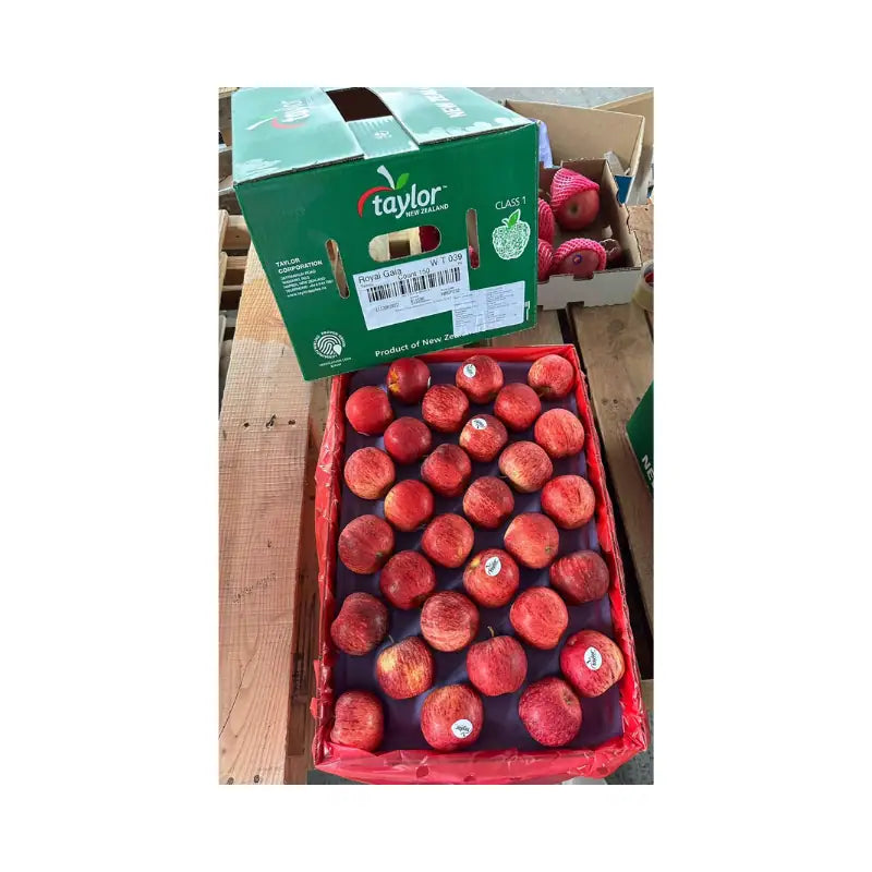 Gala Apple New Zealand Taylor Brand Size 135
