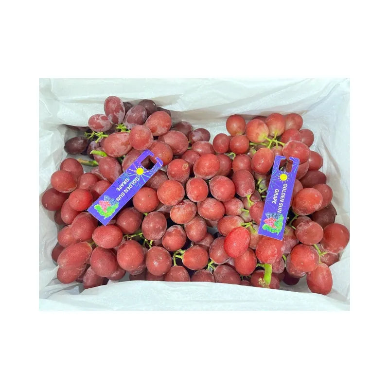 Golden Sun Brand Seedless Red Grapes (Total Weight Including Basket 3.8kg)