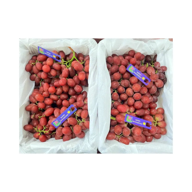 Golden Sun Brand Seedless Red Grapes (Total Weight Including Basket 3.8kg)