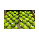Green Apples (France) Per Box - Bangkok FreshLink