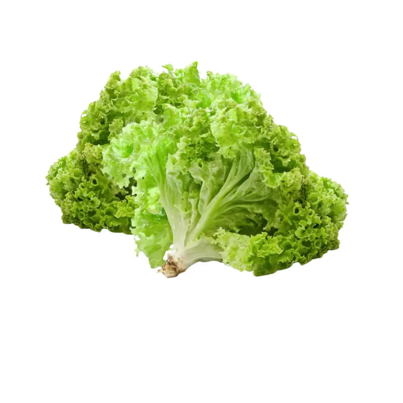 Green Lettuce Per kg