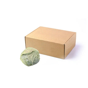 Fresh light green cabbage, crisp lighter cabbage heads, 5kg bulk pack isolated on white background