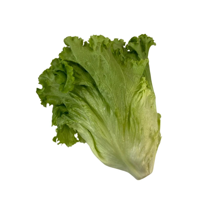 Green Leaf Lettuce Per kg