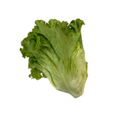 Green Leaf Lettuce Per kg