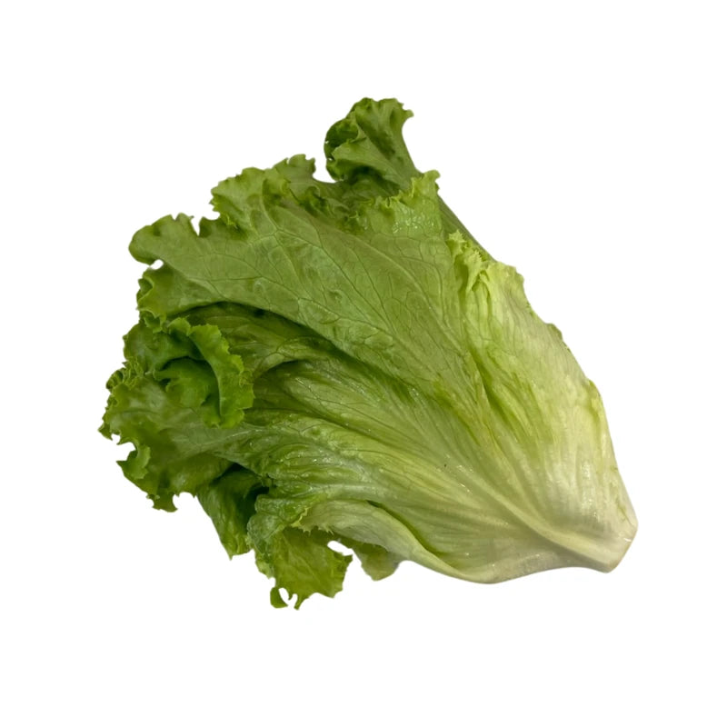 Green Leaf Lettuce Per kg