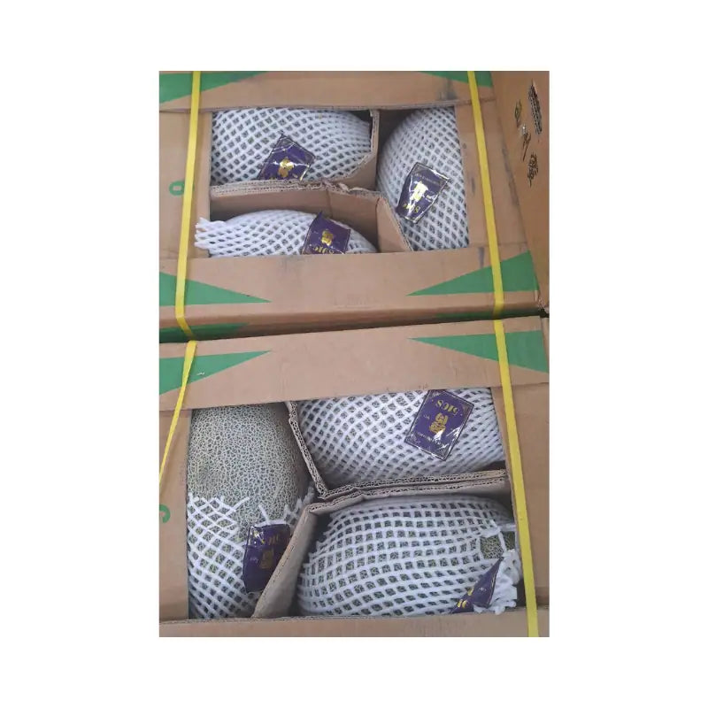 Green Melon 5168 (4 Fruits per 13kg Box)