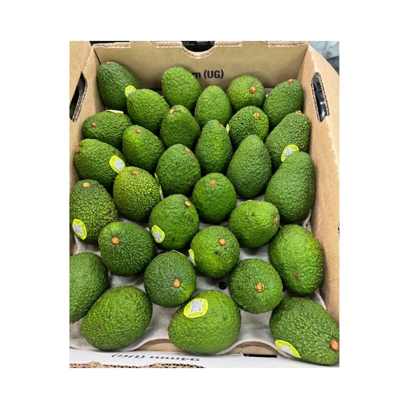 Hass Avocados Per Box