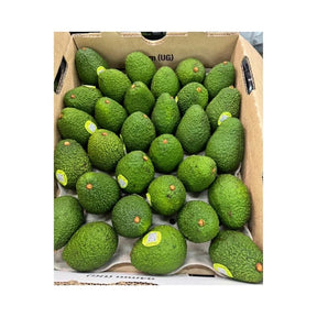 Hass avocado box on a white background