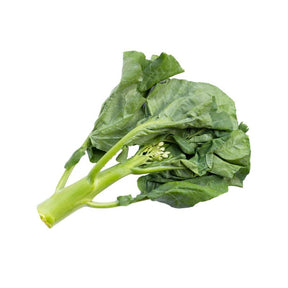 Fresh Hong Kong kale on a white background