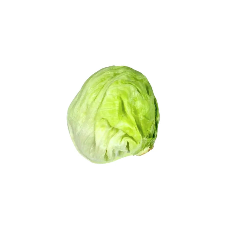 Iceberg Lettuce Per kg