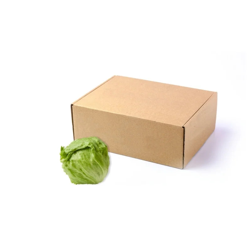 Iceberg Lettuce 12kg (Imported)