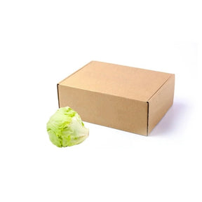 Fresh iceberg lettuce, crisp pale green heads, 5kg pack isolated on white background