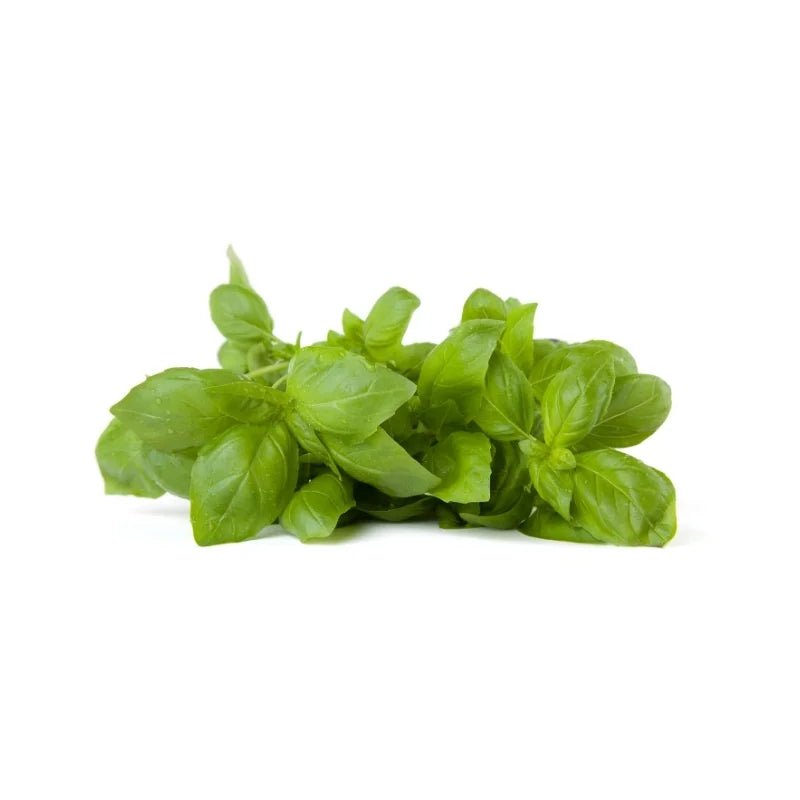 Italian Basil Per kg - Bangkok FreshLink