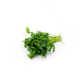Fresh Italian parsley leaves, flat-leaf herb, 100g pack isolated on white background