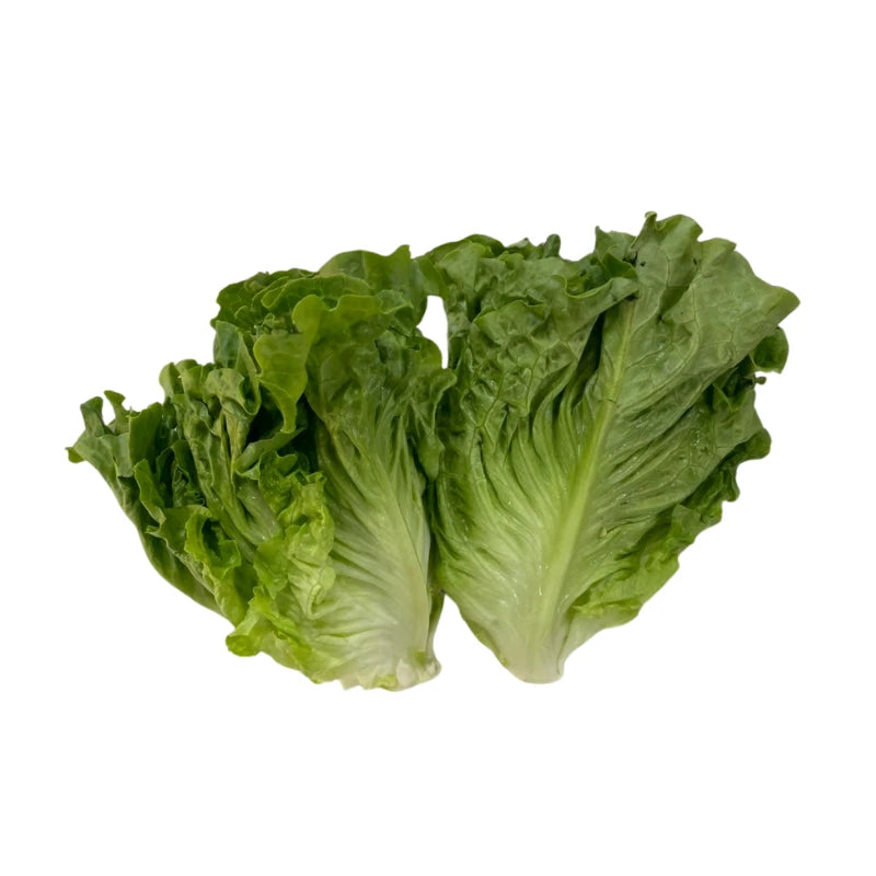Italian Romaine Lettuce Per kg